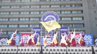 [4K] 志舞　安濃津よさこい 2019　津まつり