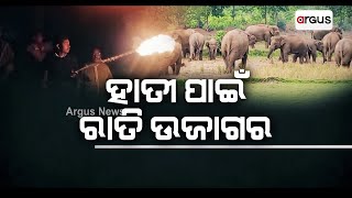 ଚାଷୀଙ୍କ ନିଦ ହଜାଇଛି ହାତୀ ପଲ | Mayurbhanj Elephants