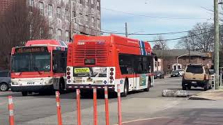 NICE Buses @ Hempstead Transit Center - 2/19/2025