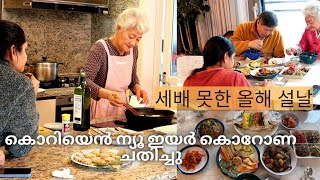 🇰🇷🇮🇳 VLOG|  Korean New year Day  KOREAN INDIAN COUPLE  #koreanindiancouple