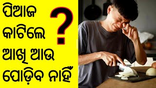 ପିଆଜ କାଟିଲେ ଆଖି ପୋଡ଼ିଥାଏ କାହିଁକି l amazing facts in odia l mrpriyabrat l #odiafacts #shorts