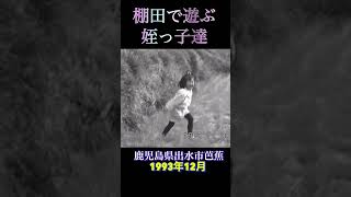 棚田で遊ぶ姪っ子たち(鹿児島県出水市芭蕉)1993年12月