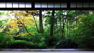 3 HOUR Japanese Temple Bell Sound At 'Hondo' for Relaxing ,Healing And Zen