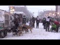 U.P.  200 & Midnight Run | Sled Dog Racing