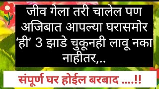 जीव गेला तरी चालेल पण अजिबात आपल्या घरासमोर ही 3 झाडे चुकूनही लावू नका!संपूर्ण घर भीकेला लागेल.