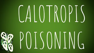 Toxicology- Calotropis Poisoning MADE EASY!