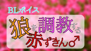 【BLボイス】狼を調教する赤ずきん【女性向けボイス】