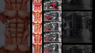 Abs workout abolic workout #shorts #fitness #bodybuilding
