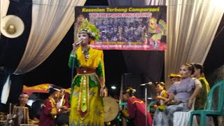 kuntulan sawung galing vs lawak pelangi live gladag