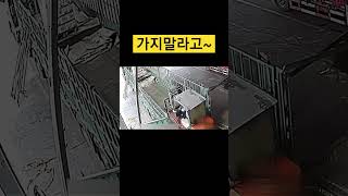 트럭에서 나오는 지게차가 트럭을 밀어내는거냐 #지게차 #하차 #트럭