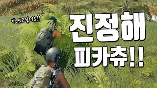 사람만 보면 달려드는 피카츄를 만났습니다ㅋㅋㅋㅋ