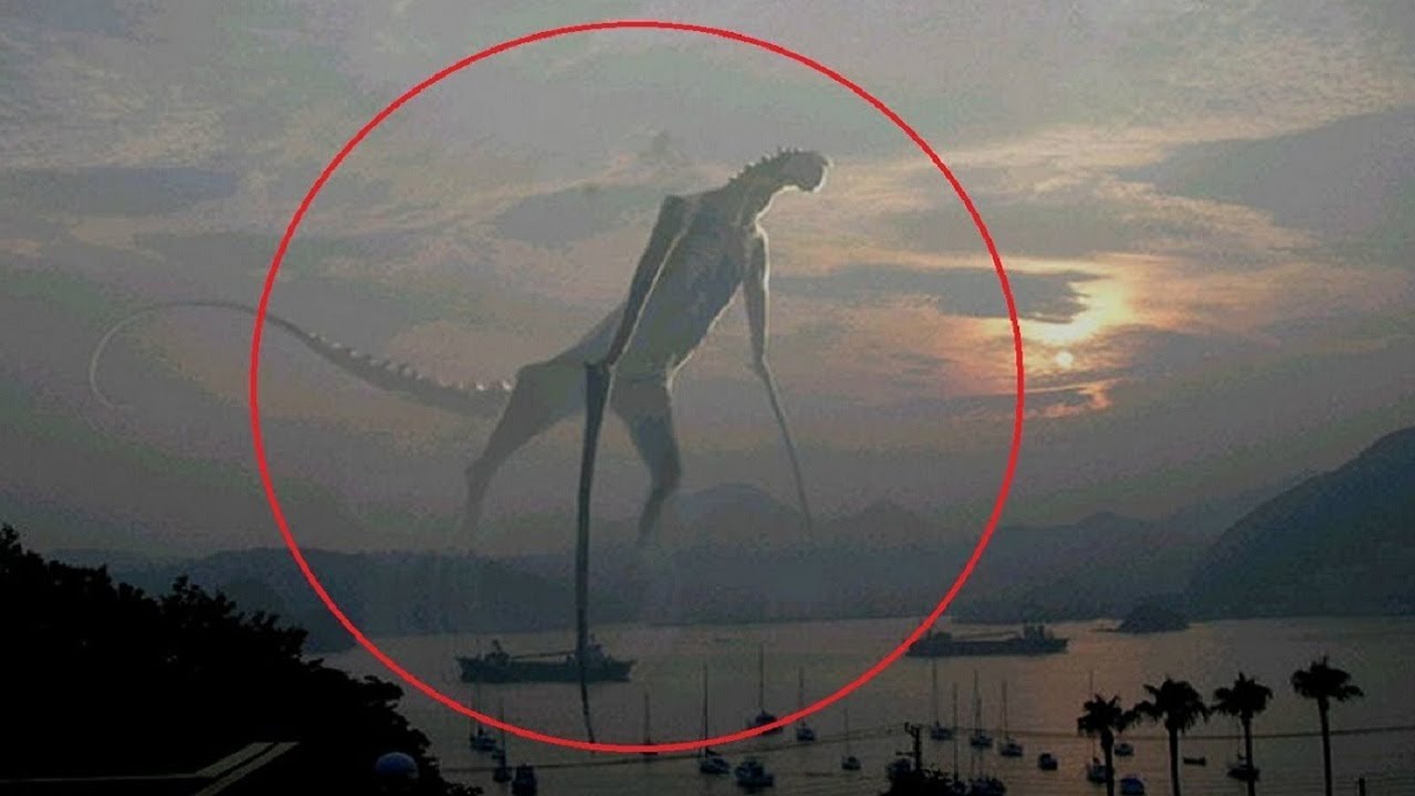 5 Mysterious Creatures Caught On Camera Youtube