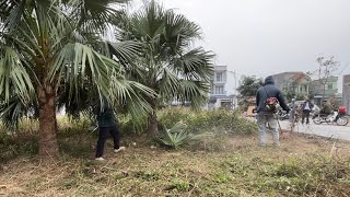 Heartwarming: We Cleared a Weedy Park, Receiving Many Compliments and Thanks from Locals.