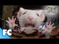 Stuart Little: Stuart Gets Stuck In The Washing Machine | Full Comedy Adventure Movie Clip | FC