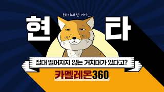 카멜레온360 차량용 핸드폰거치대