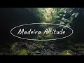 Visit Madeira -  Levada do Rei - PR 18 - Drone DJI Avata 2