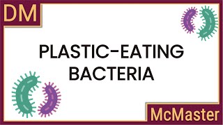 Plastic Eating Bacteria