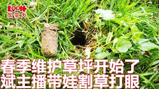 【温哥华日常】斌主播带娃修草坪（Cut The Lawn），给草坪剃头，并用两把电钻给草坪打孔透气，培养孩子劳动的意识（欢迎订阅，留言，转发）