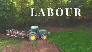 Labour pour semis de blé 🌾🌾