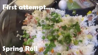 No recipe spring rolls - first attempt :)