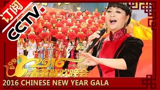 2016 Chinese New Year Spring Festival Gala [Monkey]