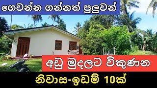 පට්ට අඩුවට ඉඩම් නිවාස 10ක් | Aduwata idam gewal | House for sale | Land sell | Ikman selling | 2024