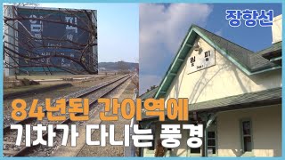 [장항선 임피역] 84년된 오래된 간이역 폐역 근대문화유산