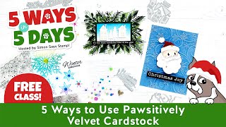 Caly Person 5 Ways in 5 Days Crafting Bonus 3: 5 Ways to Use Pawsitively Velvet Cardstock