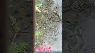 只想跟你去旅行  雨的印記 #落雨聲