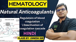 Natural Anticoagulants  | Regulators of blood coagulation | Deactivation of coagulation cascade