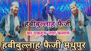 Habibullah Faizi Ki Naat 🥹एसा हंगामा पहली बार || पूरा मजमा से नारा लगने लगा@Ttsnaatpoint