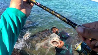 Jetty Fishing for Dinner and Pier Fishing For BIG FISH!