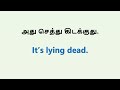 ஆங்கிலம் எளிது english speaking practice spoken english in tamil english pesalam