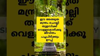 ഈ അത്ഭുത മന്ത്രം ചൊല്ലി തുളസിക്ക് വെള്ളമൊഴിക്കൂ ജീവിതം പച്ചപിടിക്കും ഉറപ്പ് #astrology #shortsfeed