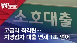 고금리 직격탄… 자영업자 대출 연체 1조 넘어