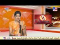 ismart news బొమ్మ ఏనుగును గుడికి గిఫ్ట్ గా ఇచ్చిన peta tv9