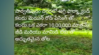 పార్వతీపురం దగ్గర్లో మంచి అగ్రి ఫార్మ్ ల్యాండ్ ఎకరా పది లక్షలు మాత్రమే. అద్భుతమైన తోట.ph.9398489400