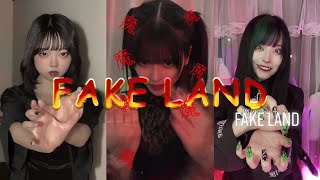 TikTokまとめ, 懐かしい音源 FAKE LAND