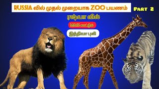 Russia வில் mass காட்டும் இந்தியா புலி|zoo park in Russia|#subscribe #russia #tiger  @spworld0111