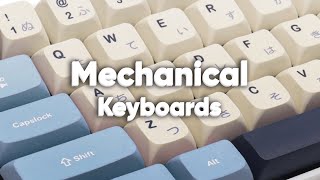 Mechanical Keyboards - A Little Introduction