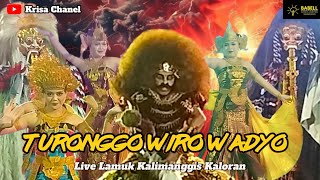 Turonggo Wiro Wadyo ( TWW) live lamuk kalimanggis Kaloran🔥🔥