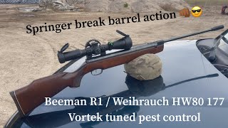 Springer break barrel action Beeman R1 / Weihrauch HW80 177 Vortek tuned #weihrauchhw80 #beemanr1