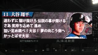 11.大谷翔平　応援歌（日本ハムファイターズ）2014