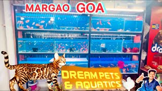 Exotic Pets Shop In Margao GOA😍🦜🕊️🐠🐡🦞#margao#goa#petsvlog#theminisetup#dailypetsvlog#konkanivlog#pet