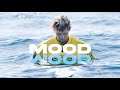 John John Florence Mix- “Mood