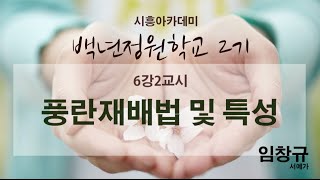 [시흥아카데미] 백년정원학교2기 6강2교시 「풍란재배법 및 특성」 - 임창규(서예가)