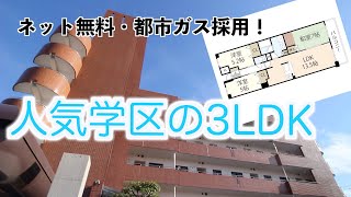 【人気学区3LDKマンション】都市ガス・ネット無料・オートロック ・宅配ボックスなどなど嬉しい設備がいっぱい！