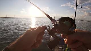 Quick Evening Fishing Trip In Atlantic City Absecon Inlet, Black Sea Bass, Puffer Fish And SHARK!