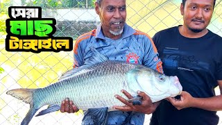 টাঙ্গাইলে ২০ হাজার টিকিট মূল্যে কাতলা মাছ শিকার | Best Katla Fish Catching Video | Fish & Fisher