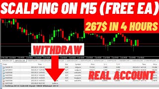 267$ in 4 Hours with M5 Scalping EA | MT4 Scalping EA free download | Forex Expert Advisor Free
